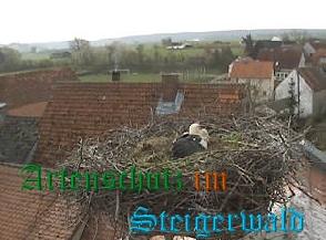 Copyright AiS / Weidner / Zehendner Bild zum Eintrag (30994-160)