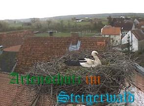 Copyright AiS / Weidner / Zehendner Bild zum Eintrag (30995-160)