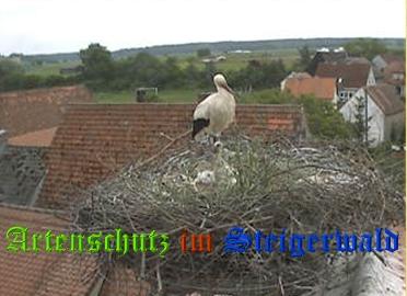 Copyright AiS / Weidner / Zehendner Bild zum Eintrag (31029-160)