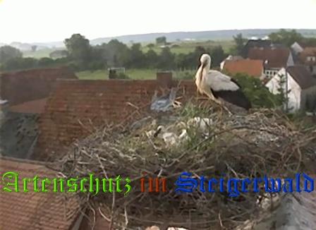 Copyright AiS / Weidner / Zehendner Bild zum Eintrag (31030-160)