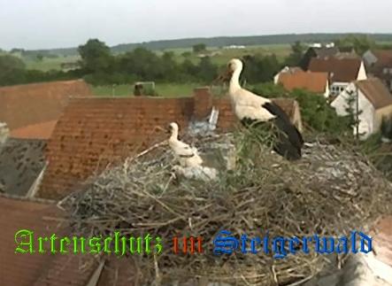 Copyright AiS / Weidner / Zehendner Bild zum Eintrag (31031-160)