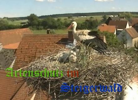 Copyright AiS / Weidner / Zehendner Bild zum Eintrag (31032-160)