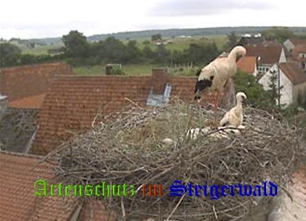 Copyright AiS / Weidner / Zehendner Bild zum Eintrag (31033-160)