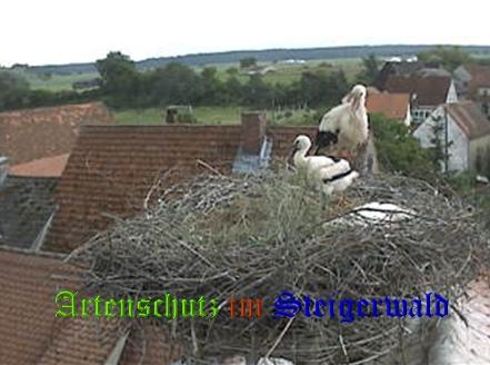 Copyright AiS / Weidner / Zehendner Bild zum Eintrag (31034-160)