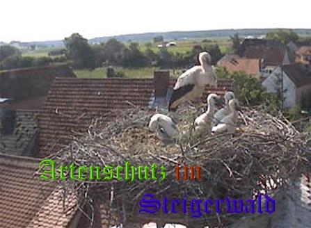 Copyright AiS / Weidner / Zehendner Bild zum Eintrag (31035-160)