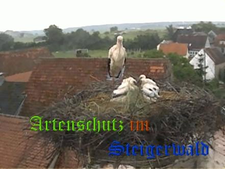 Copyright AiS / Weidner / Zehendner Bild zum Eintrag (31036-160)