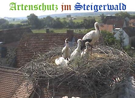 Copyright AiS / Weidner / Zehendner Bild zum Eintrag (31037-160)