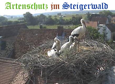 Copyright AiS / Weidner / Zehendner Bild zum Eintrag (31038-160)