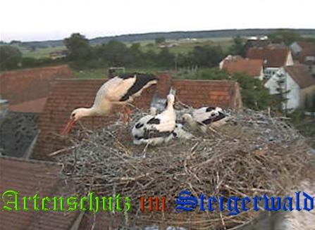 Copyright AiS / Weidner / Zehendner Bild zum Eintrag (31039-160)