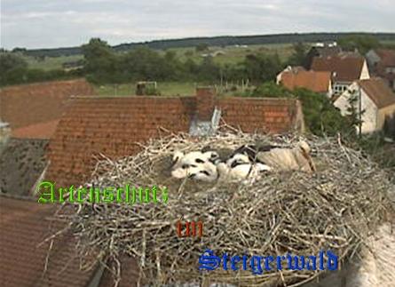 Copyright AiS / Weidner / Zehendner Bild zum Eintrag (31040-160)