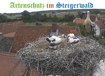 Copyright AiS / Weidner / Zehendner Bild zum Eintrag (31041-160)