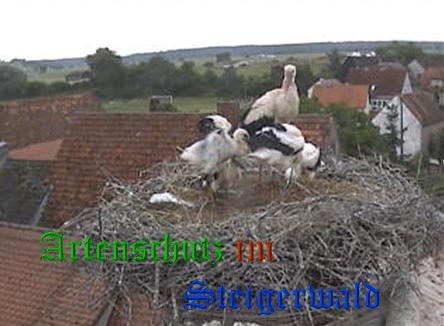 Copyright AiS / Weidner / Zehendner Bild zum Eintrag (31042-160)