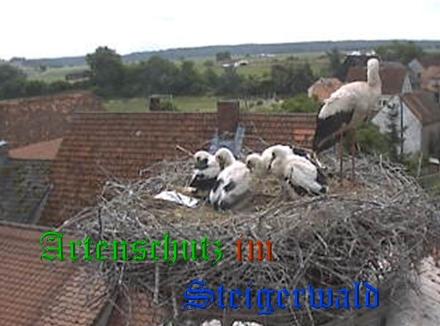 Copyright AiS / Weidner / Zehendner Bild zum Eintrag (31043-160)