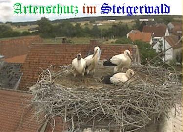Copyright AiS / Weidner / Zehendner Bild zum Eintrag (31071-160)