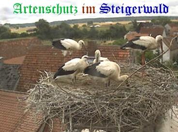 Copyright AiS / Weidner / Zehendner Bild zum Eintrag (31072-160)