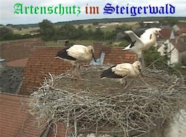 Copyright AiS / Weidner / Zehendner Bild zum Eintrag (31073-160)