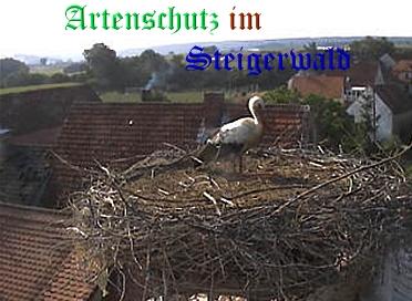Bild zum Eintrag (31080-160)