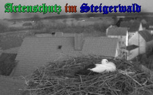 Copyright AiS / 2009 Brauere Zehendner / Weidner Bild zum Eintrag (31098-160)