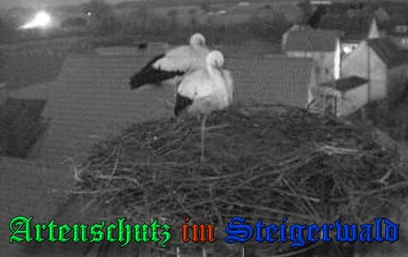 Copyright AiS / 2009 Brauere Zehendner / Weidner Bild zum Eintrag (31099-160)