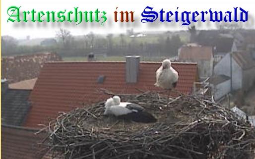 Copyright AiS / 2009 Zehendner / Weidner Bild zum Eintrag (31102-160)