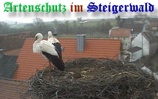 Copyright AiS / Weidner / Zehendner Bild zum Eintrag (31103-160)