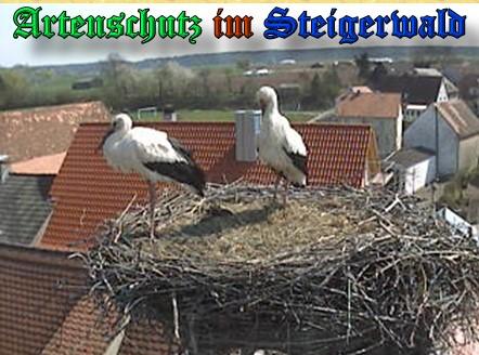 Copyright AiS / Weidner / Zehendner Bild zum Eintrag (31104-160)