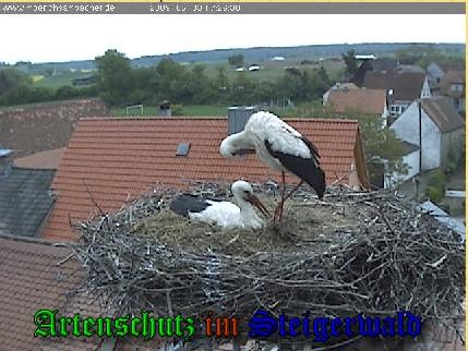 Copyright AiS / Weidner / Zehendner Bild zum Eintrag (31105-160)