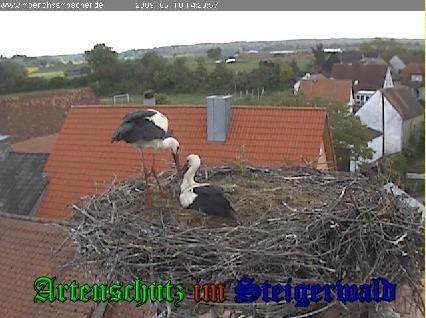 Copyright AiS / 2009 Brauerei Zehendner Bild zum Eintrag (31106-160)