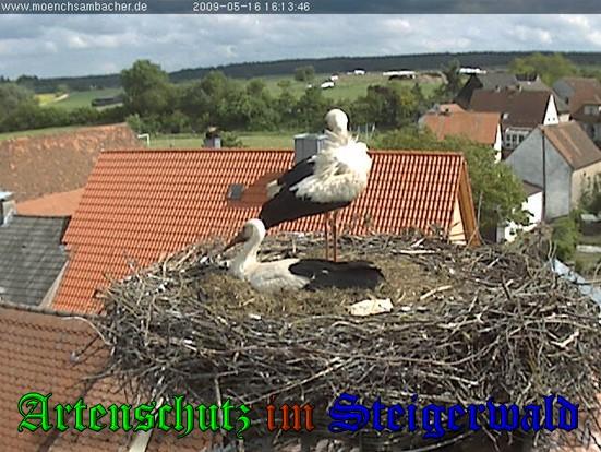 Copyright AiS / 2009 Brauere Zehendner / Weidner Bild zum Eintrag (31107-160)