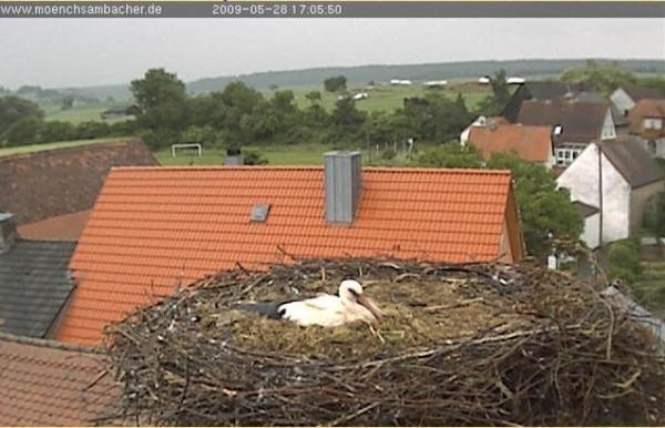 Copyright AiS / 2009 Zehendner Bild zum Eintrag (31108-160)