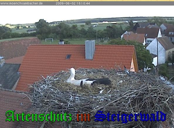 Copyright AiS / 2009 Zehendner Bild zum Eintrag (31109-160)