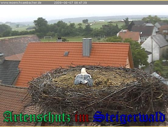 Copyright AiS / 2009 Zehendner Bild zum Eintrag (31110-160)