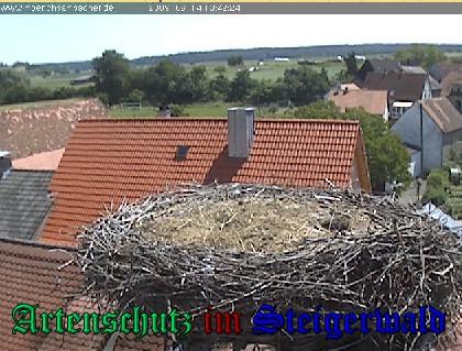 Copyright AiS / 2009 Zehendner Bild zum Eintrag (31111-160)