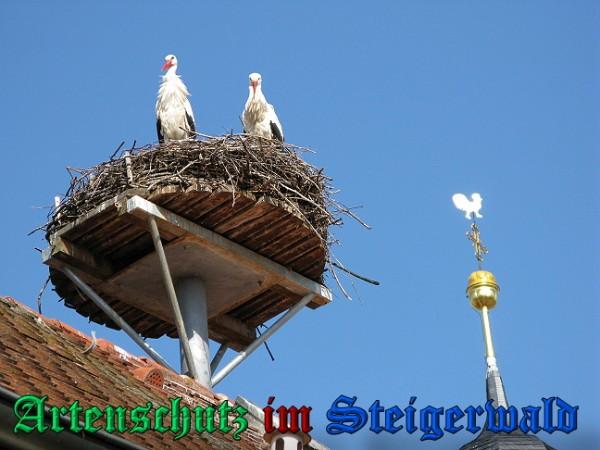 Copyright AiS / 2010 Schmidt R. Bild zum Eintrag (31131-160)