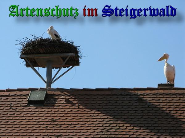 Copyright AiS / 2010 Schmidt R. Bild zum Eintrag (31134-160)