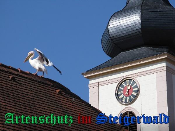 Copyright AiS / 2010 Schmidt R. Bild zum Eintrag (31135-160)
