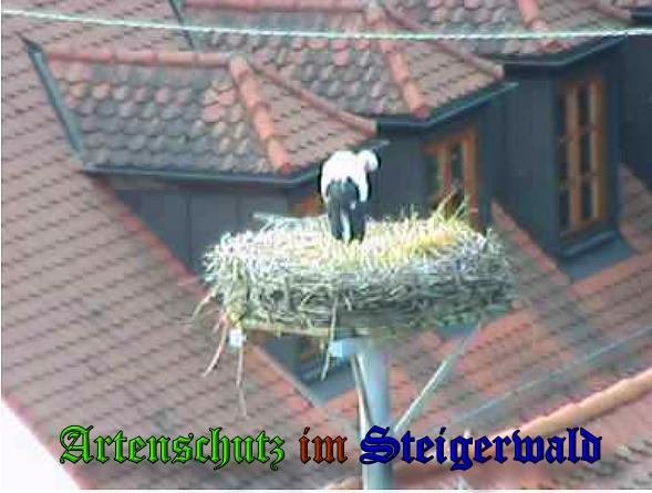 Copyright AiS / 2010 Bild zum Eintrag (31140-160)