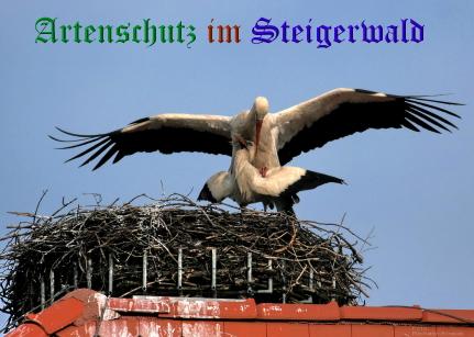 Copyright AiS / LBV Richard Straub Bild zum Eintrag (31150-160)