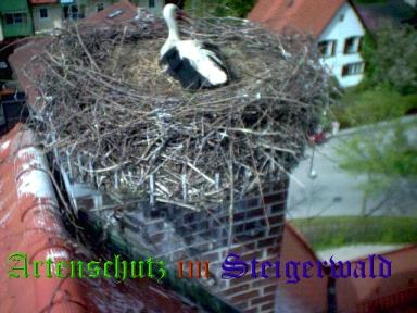 Copyright AiS / LBV EBE Richard Straub Bild zum Eintrag (31155-160)