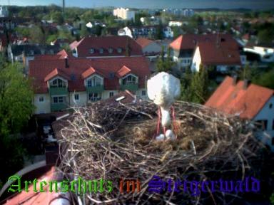Copyright AiS / LBV EBE Richard Straub Bild zum Eintrag (31156-160)