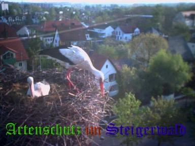 Copyright AiS / LBV EBE Richard Straub Bild zum Eintrag (31157-160)