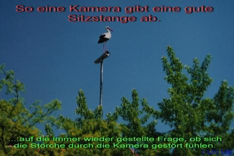 Copyright AiS / LBV EBE Richard Straub Bild zum Eintrag (31161-160)