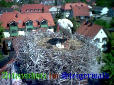 Copyright AiS / LBV EBE Richard Straub Bild zum Eintrag (31163-160)