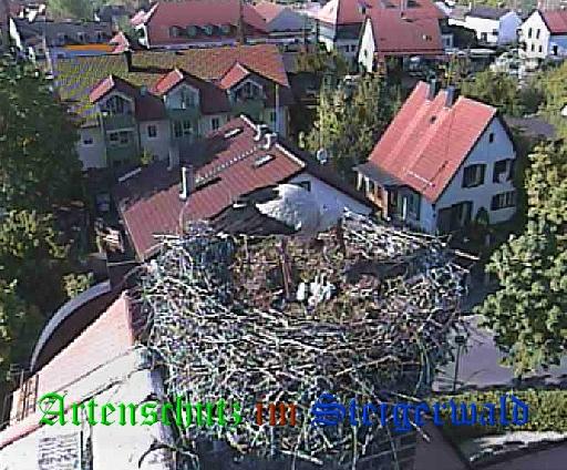 Copyright AiS / LBV Markt Schwaben Bild zum Eintrag (31164-160)