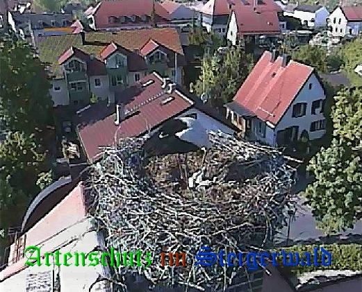 Copyright AiS / LBV Markt Schwaben Bild zum Eintrag (31165-160)