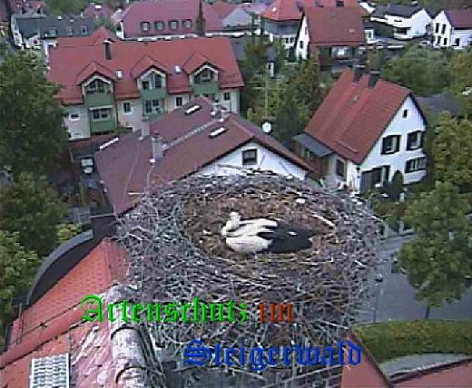 Copyright AiS / LBV Markt Schwaben Bild zum Eintrag (31167-160)