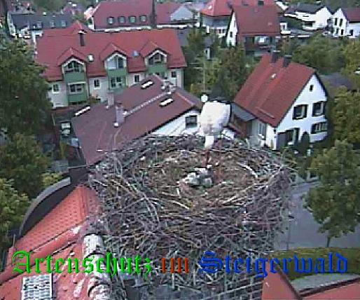 Copyright AiS / LBV Markt Schwaben Bild zum Eintrag (31168-160)