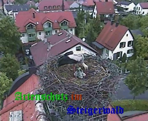Copyright AiS / LBV EBE Richard Straub / Weidner Bild zum Eintrag (31173-160)