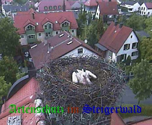 Copyright AiS / LBV EBE Richard Straub / Weidner Bild zum Eintrag (31176-160)