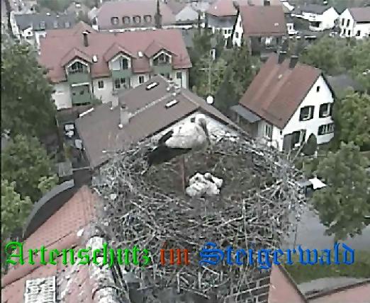 Copyright AiS / LBV EBE Richard Straub Bild zum Eintrag (31177-160)